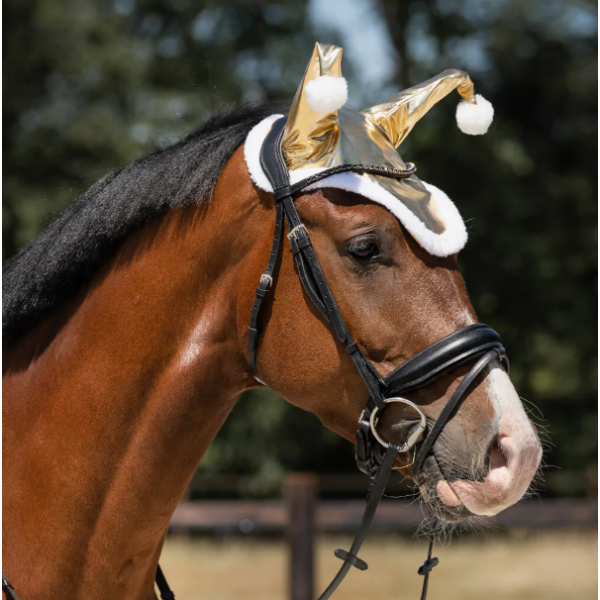 Oornetje Santa