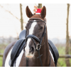 Bonnet de Noël avec bois pour chevaux