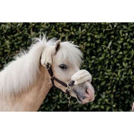 Licol Cuir Mouton Tiny Kentucky