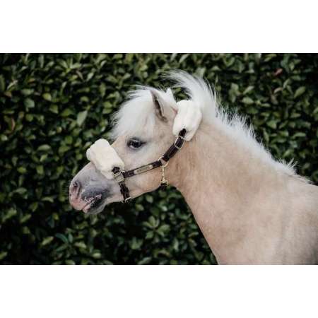 Kentucky Tiny Leder halster wol