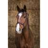 Norton Pro Miss Bridle