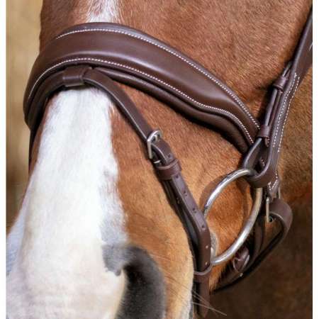 Norton Pro Miss Bridle