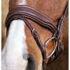 Norton Pro Miss Bridle