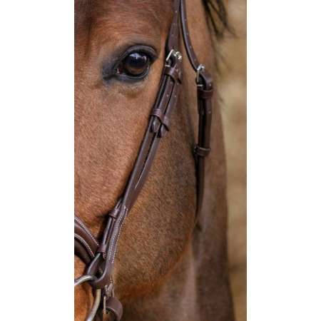 Norton Pro Miss Bridle