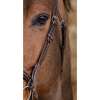 Norton Pro Miss Bridle