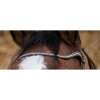 Norton Pro Miss Bridle