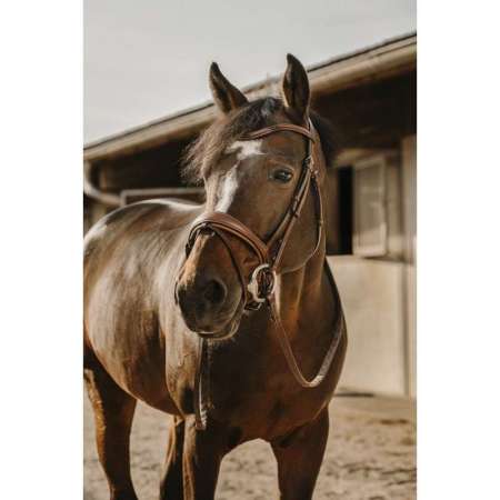 Éric Thomas Visby Bridle