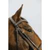 Norton Club - Strass V - Bridle