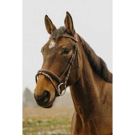 Norton Club - Strass V - hoofdstel