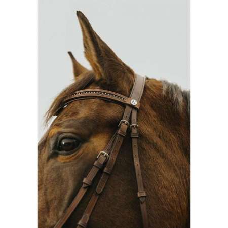 Norton Club - Strass V - Bridle