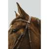 Norton Club - Strass V - Bridle