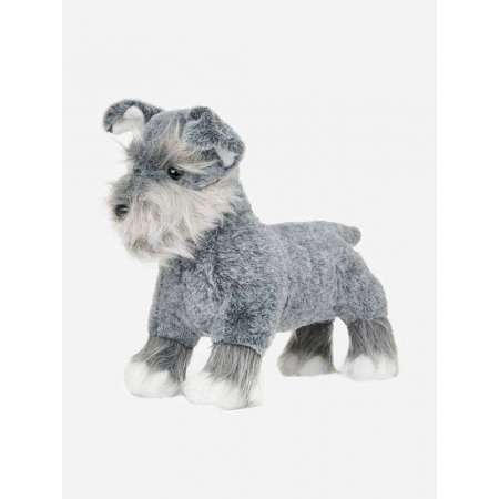 Toy Puppy Cooper LeMieux