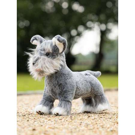 Toy Puppy Cooper LeMieux