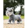 Toy Puppy Cooper LeMieux