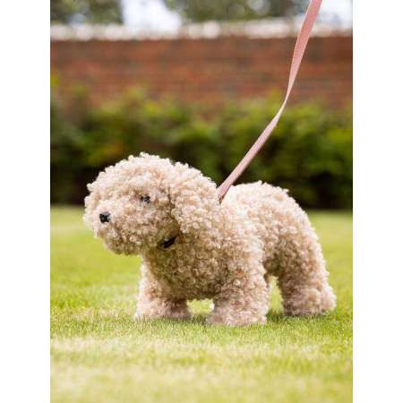Toy Puppy Chester LeMieux