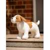 Toy Puppy Jack LeMieux