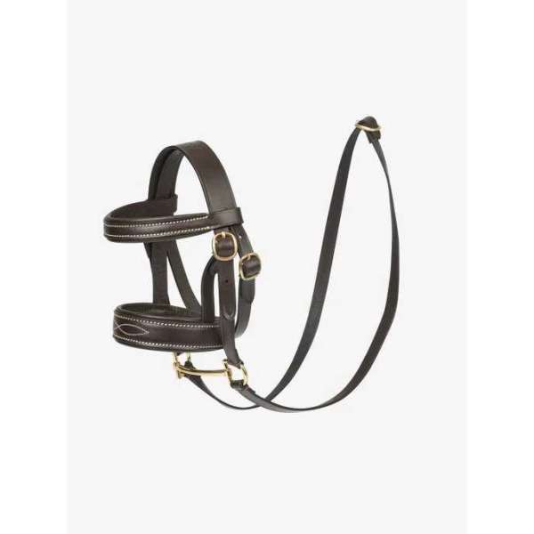 LeMieux Toy Pony Hoofdstel