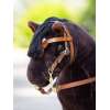 Bridon Western Toy Pony LeMieux