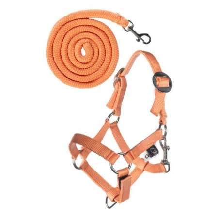 Licol et longe Hobby Horsing Basic HKM