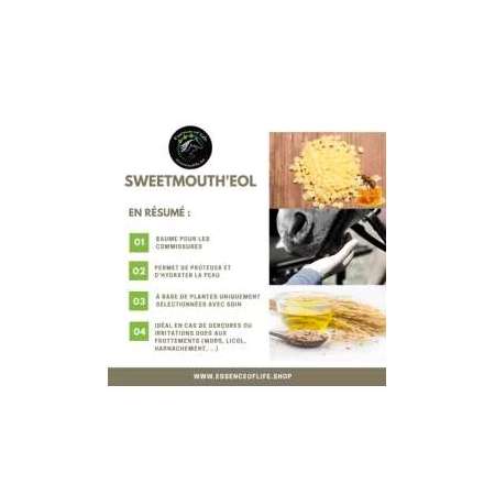 Sweetmouth'eol - Baume pour les commissures - cheval