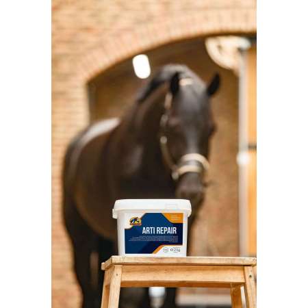 Arti Repair Cavalor - 2 kg