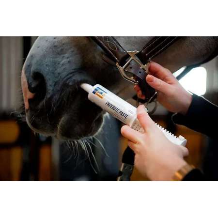 Freebute Paste 60GR Cavalor