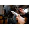 Freebute Paste 60GR Cavalor