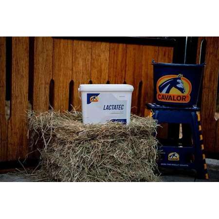 Cavalor LactaTec - 2KG