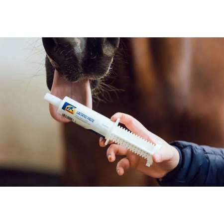 Cavalor LactaTec Paste - 6 x 60gr