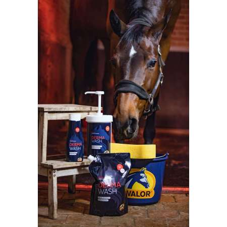 Derma Wash Cavalor