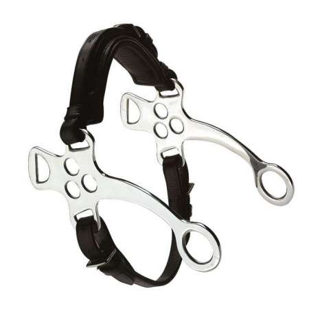 FEELING hackamore scharen