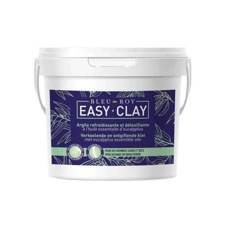 Easy Clay Bleu Roy