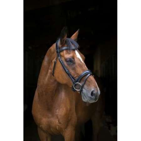 ERIC THOMAS PRO Wave bridle