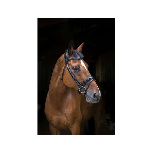 ERIC THOMAS PRO Wave bridle
