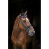 ERIC THOMAS PRO Wave bridle