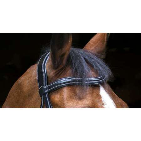 ERIC THOMAS PRO Wave bridle