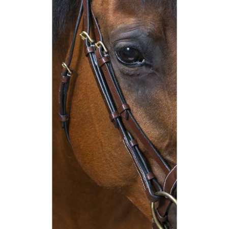 ERIC THOMAS PRO Wave bridle