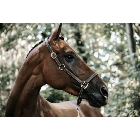 Leather Headcollar Flexible