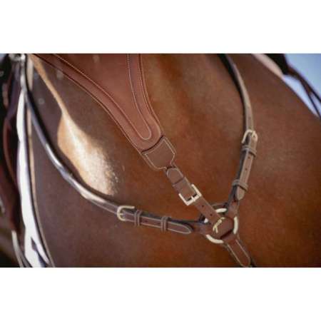 Pénélope Bip Plain Elastic Martingale Strap