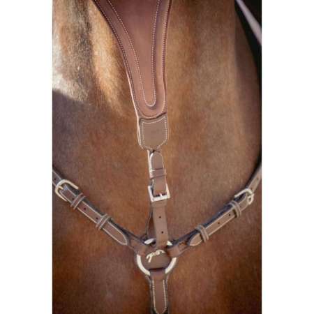 Pénélope Bip Plain Elastic Martingale Strap