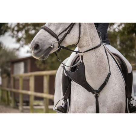 Pénélope Bip Plain Elastic Martingale Strap