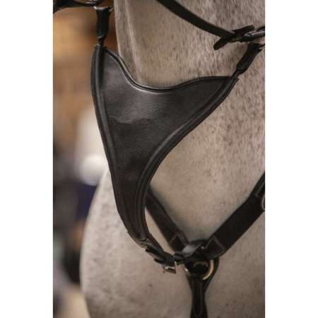 Pénélope Bip Plain Elastic Martingale Strap