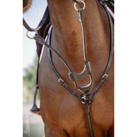 Pénélope Bip Light US Elastic Martingale Strap