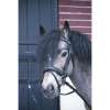 Bridon Penelope Eden Poney