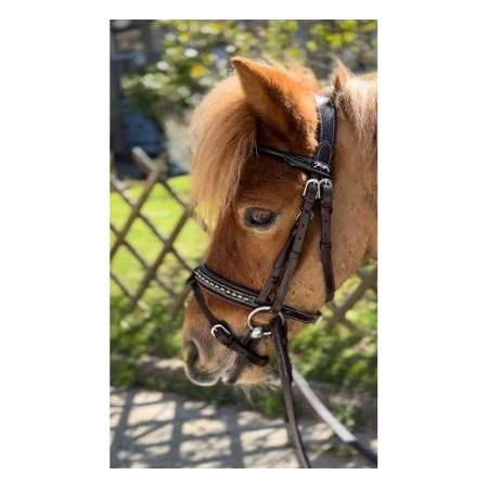 Bridon Penelope Eden Poney