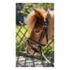 Bridon Penelope Eden Poney