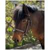 "Eden" Bridle Pénélope (Pony Size)