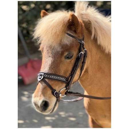 Bridon Penelope Eden Poney
