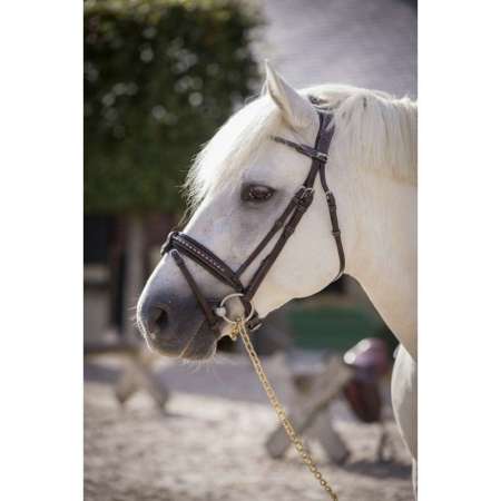 Bridon Penelope Eden Poney