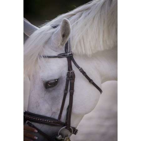 "Eden" Bridle Pénélope (Pony Size)
